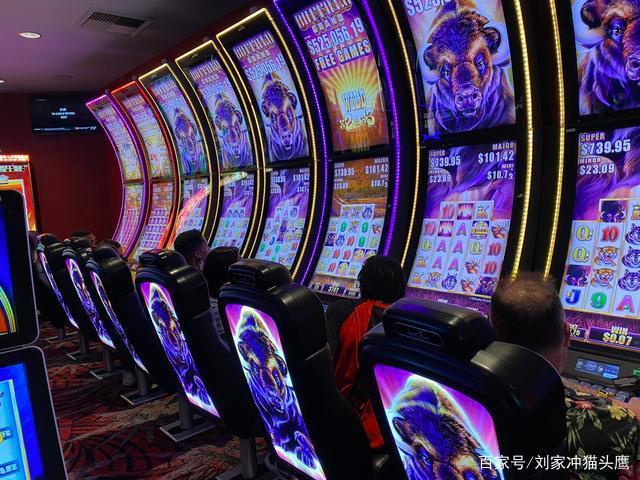 377bet.ckm no Brasil Como Funciona a Plataforma e quais Cuidados Tomar Antes de Apostar